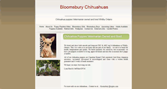 Desktop Screenshot of bloomsburychihuahuas.com